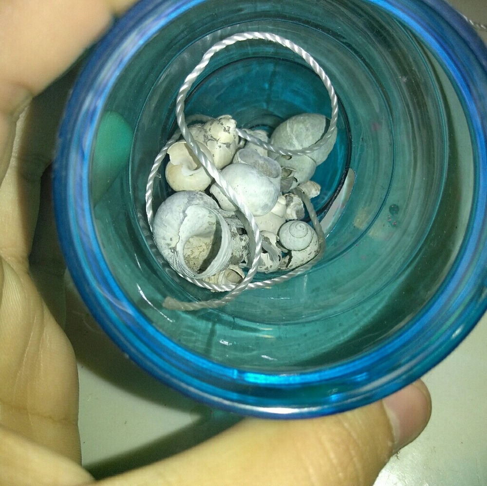 Customizable Shell Necklace - Picture 3 of 4